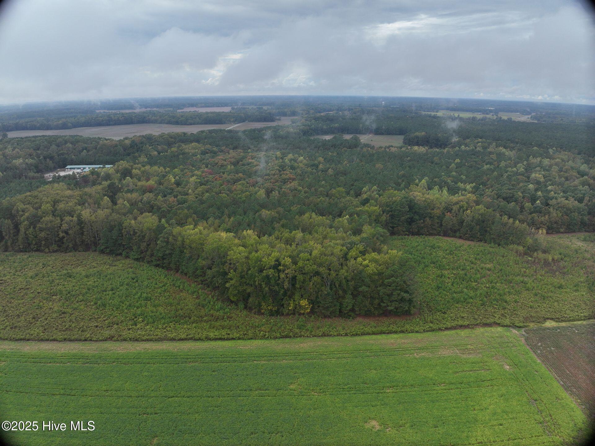 0 Red Oak Battleboro Road Battleboro, NC 27809 - Photo 12 of 47 12_photo--red-oak-battleboro-road
