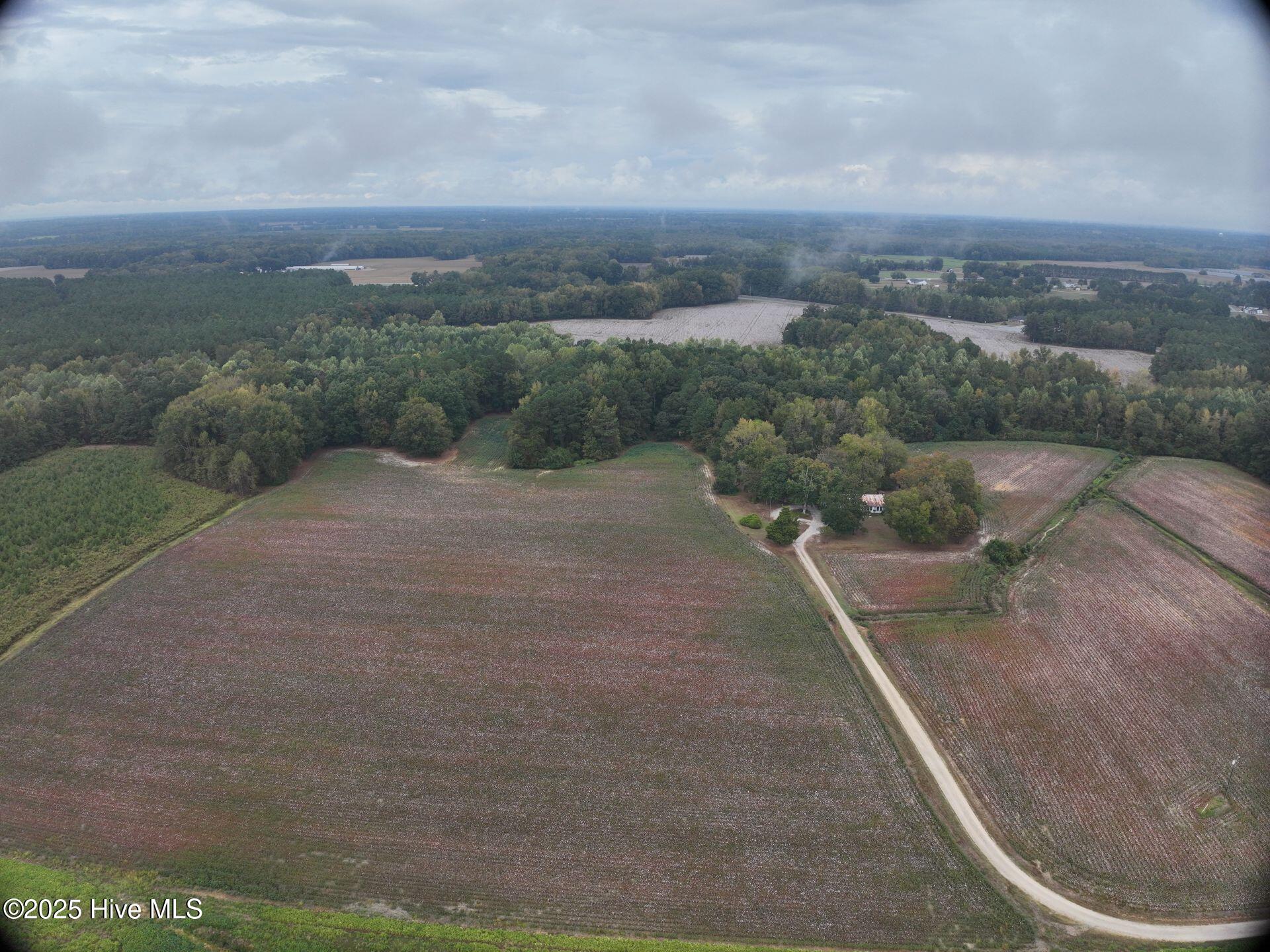 0 Red Oak Battleboro Road Battleboro, NC 27809 - Photo 17 of 47 17_photo--red-oak-battleboro-road
