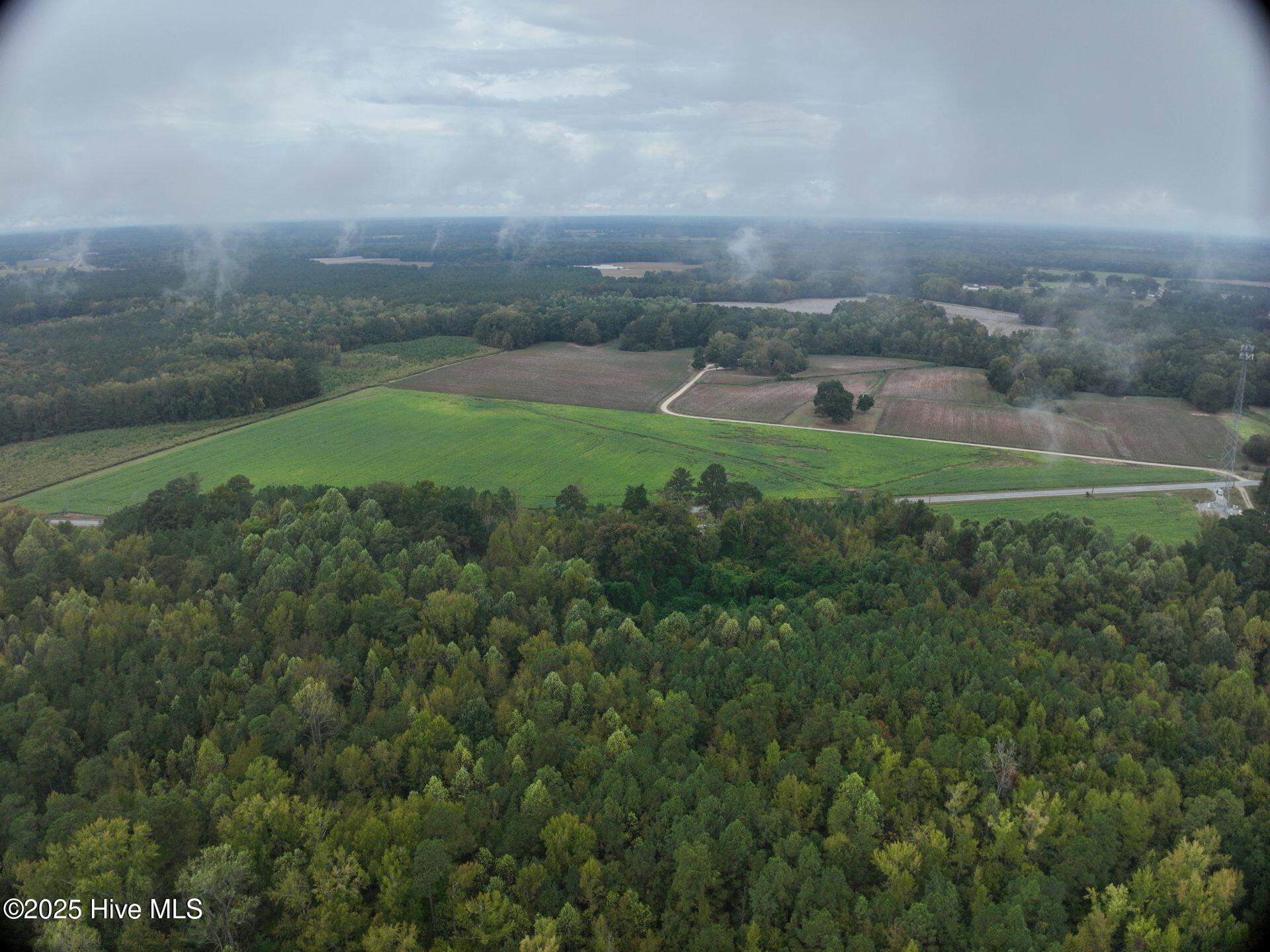 0 Red Oak Battleboro Road Battleboro, NC 27809 - Photo 27 of 47 27_photo--red-oak-battleboro-road