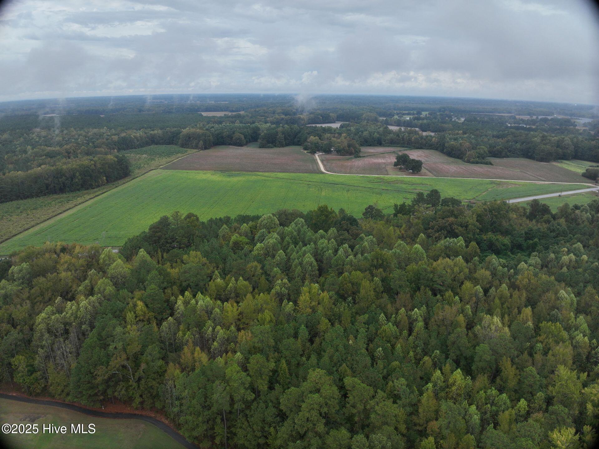 0 Red Oak Battleboro Road Battleboro, NC 27809 - Photo 28 of 47 28_photo--red-oak-battleboro-road