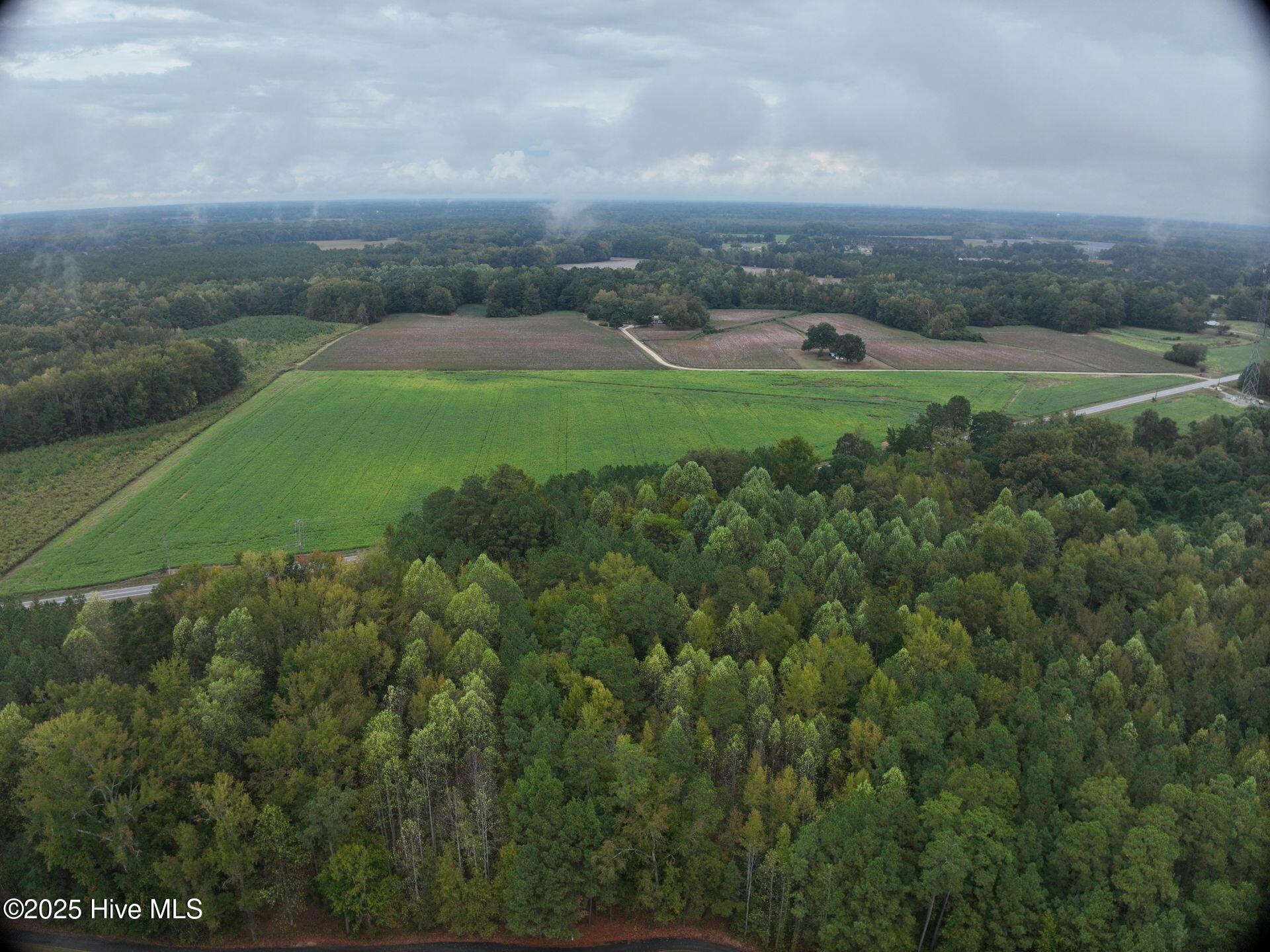0 Red Oak Battleboro Road Battleboro, NC 27809 - Photo 29 of 47 29_photo--red-oak-battleboro-road