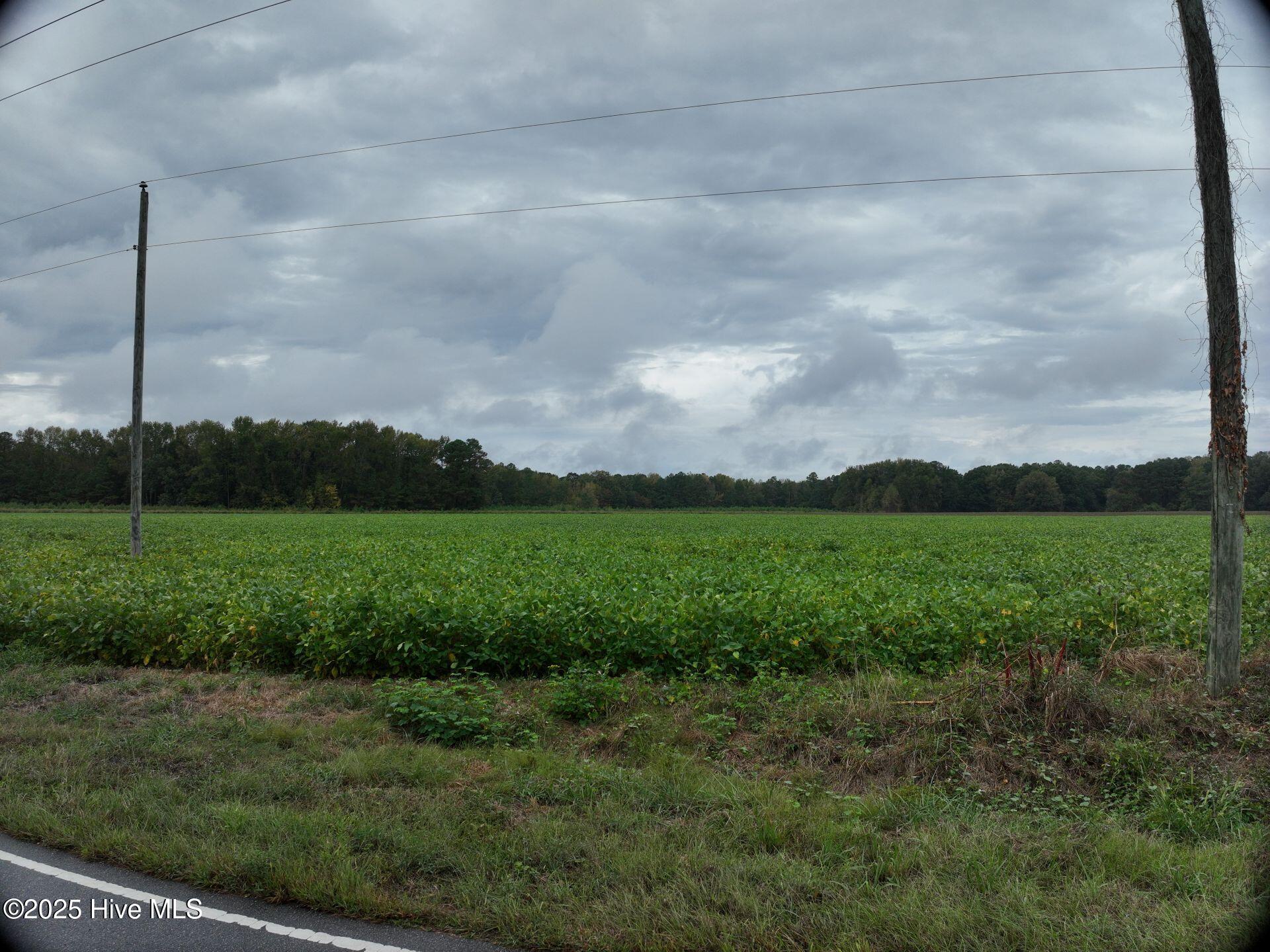 0 Red Oak Battleboro Road Battleboro, NC 27809 - Photo 3 of 47 3_photo--red-oak-battleboro-road
