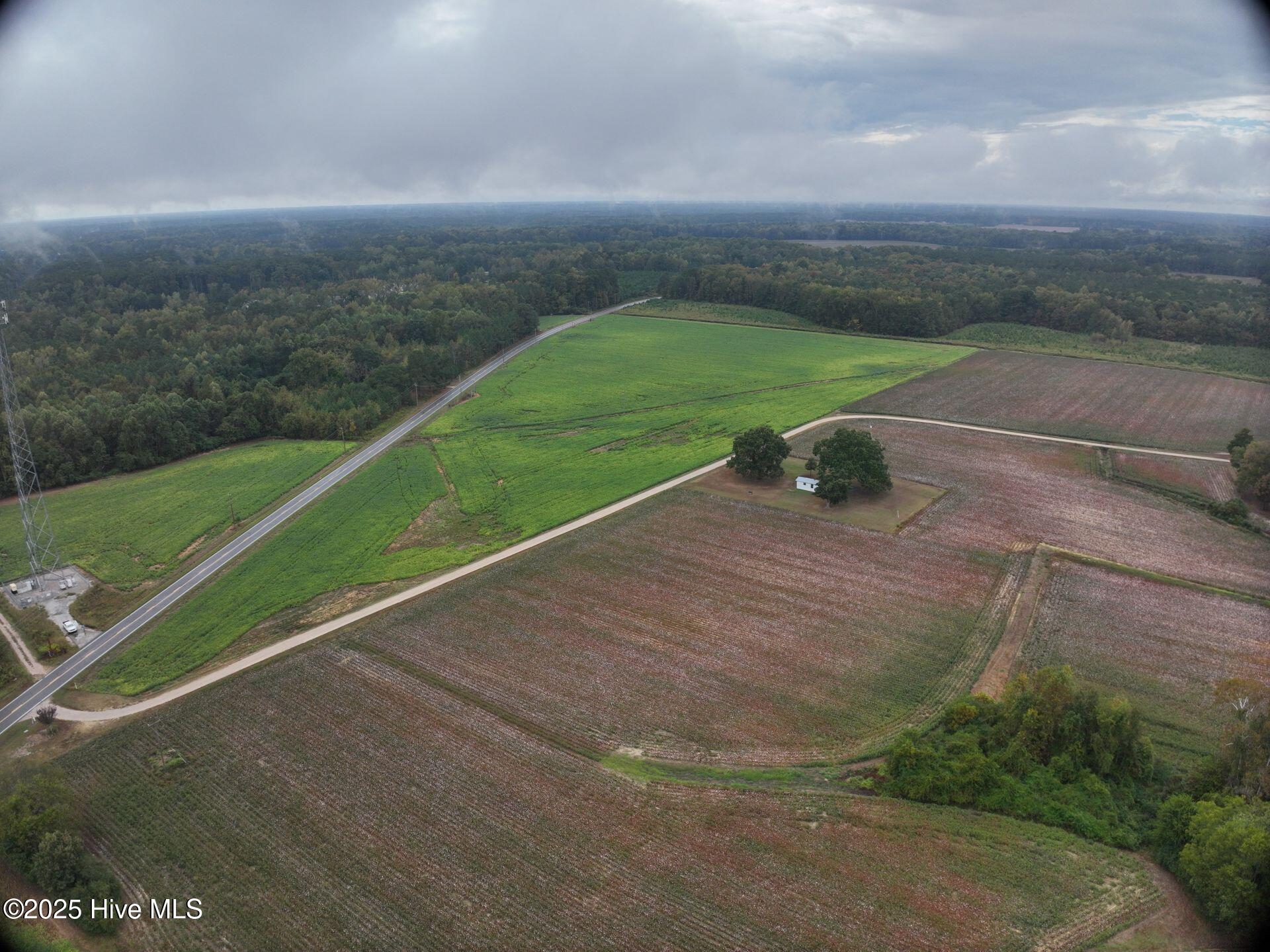 0 Red Oak Battleboro Road Battleboro, NC 27809 - Photo 39 of 47 39_photo--red-oak-battleboro-road