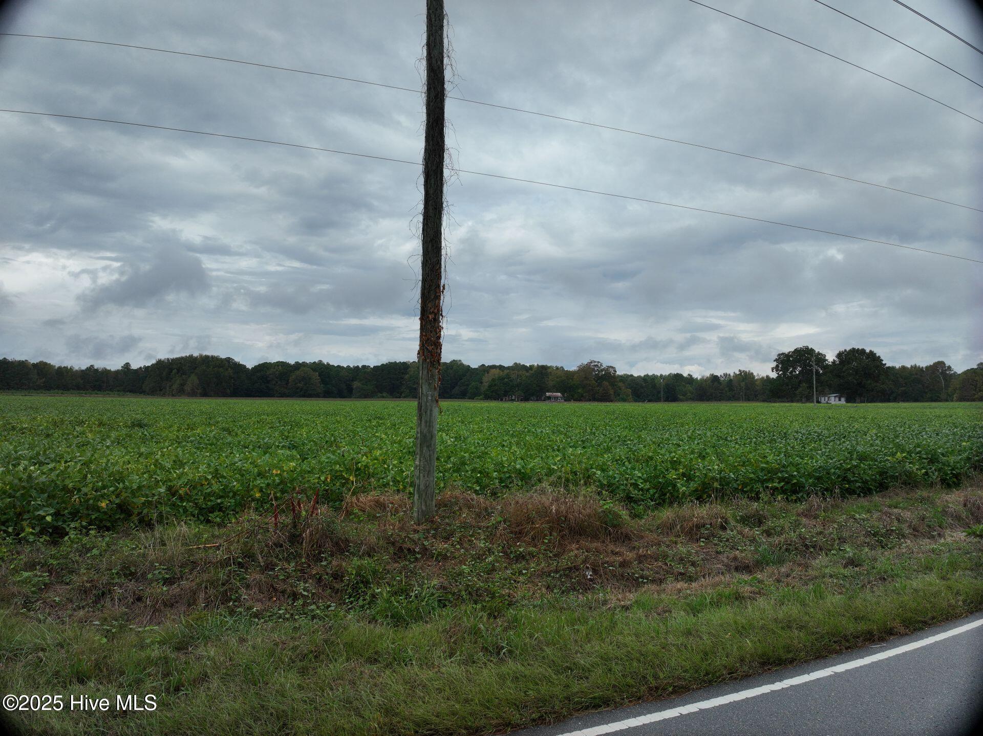0 Red Oak Battleboro Road Battleboro, NC 27809 - Photo 4 of 47 4_photo--red-oak-battleboro-road