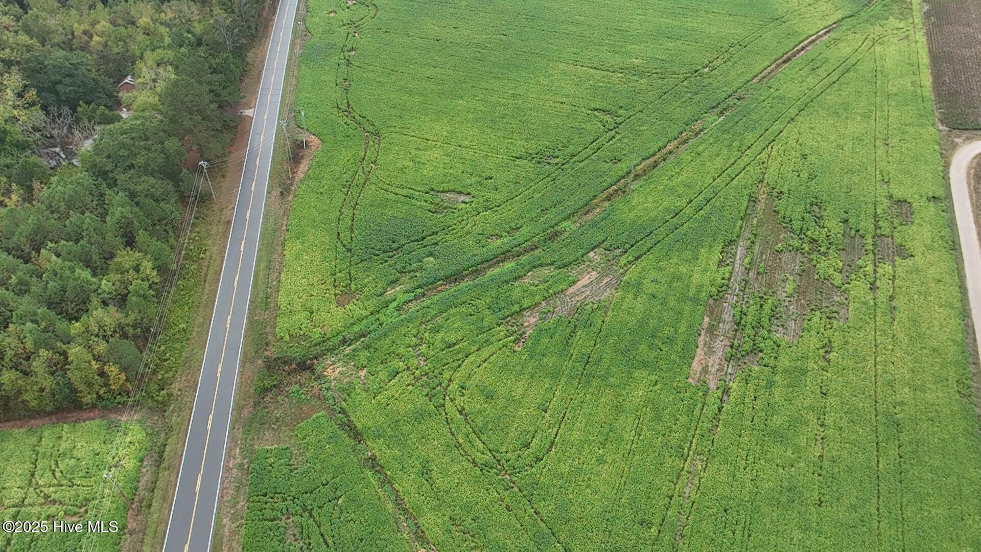 0 Red Oak Battleboro Road Battleboro, NC 27809 - Photo 46 of 47 46_photo--red-oak-battleboro-road