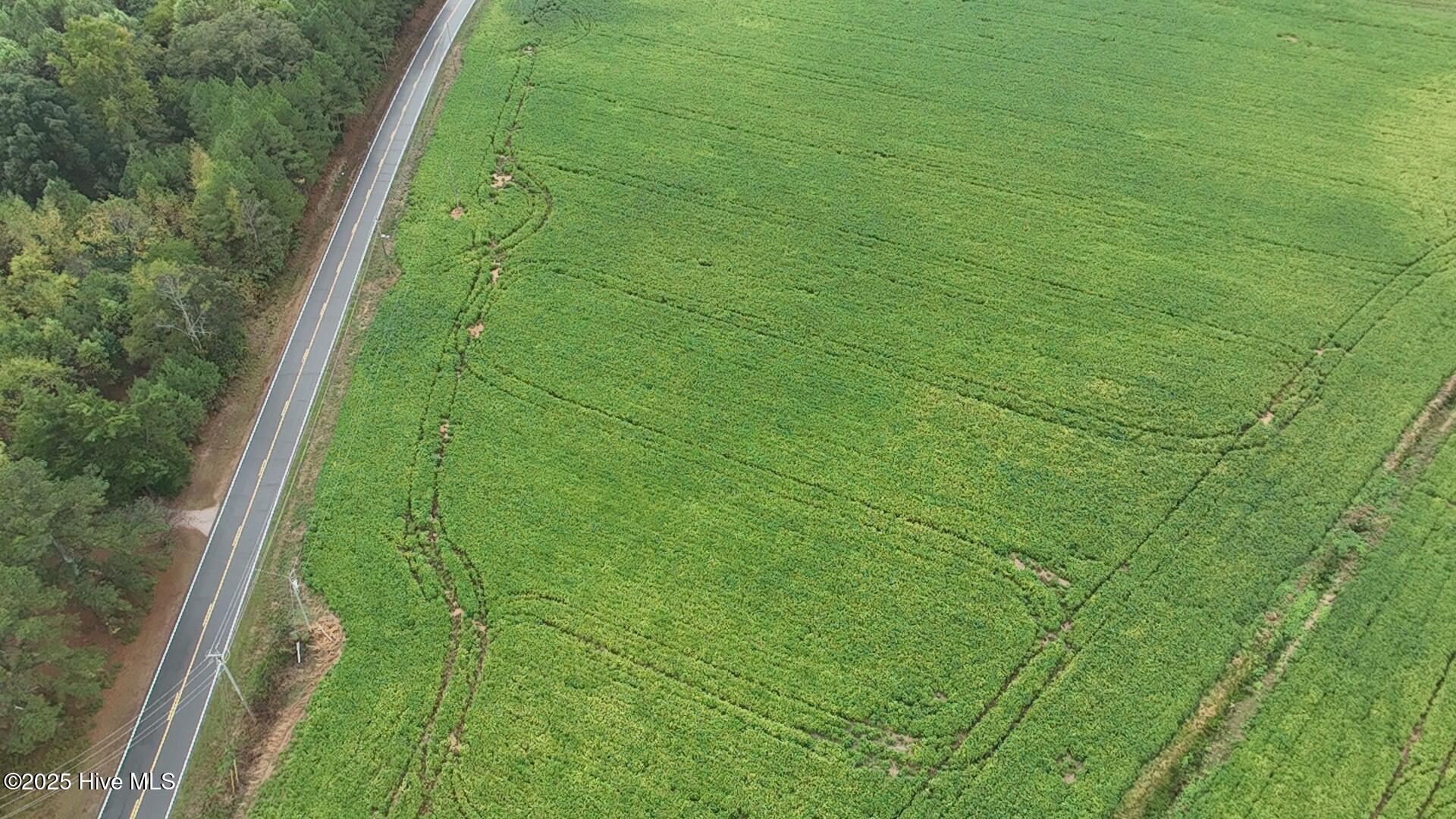 0 Red Oak Battleboro Road Battleboro, NC 27809 - Photo 47 of 47 47_photo--red-oak-battleboro-road