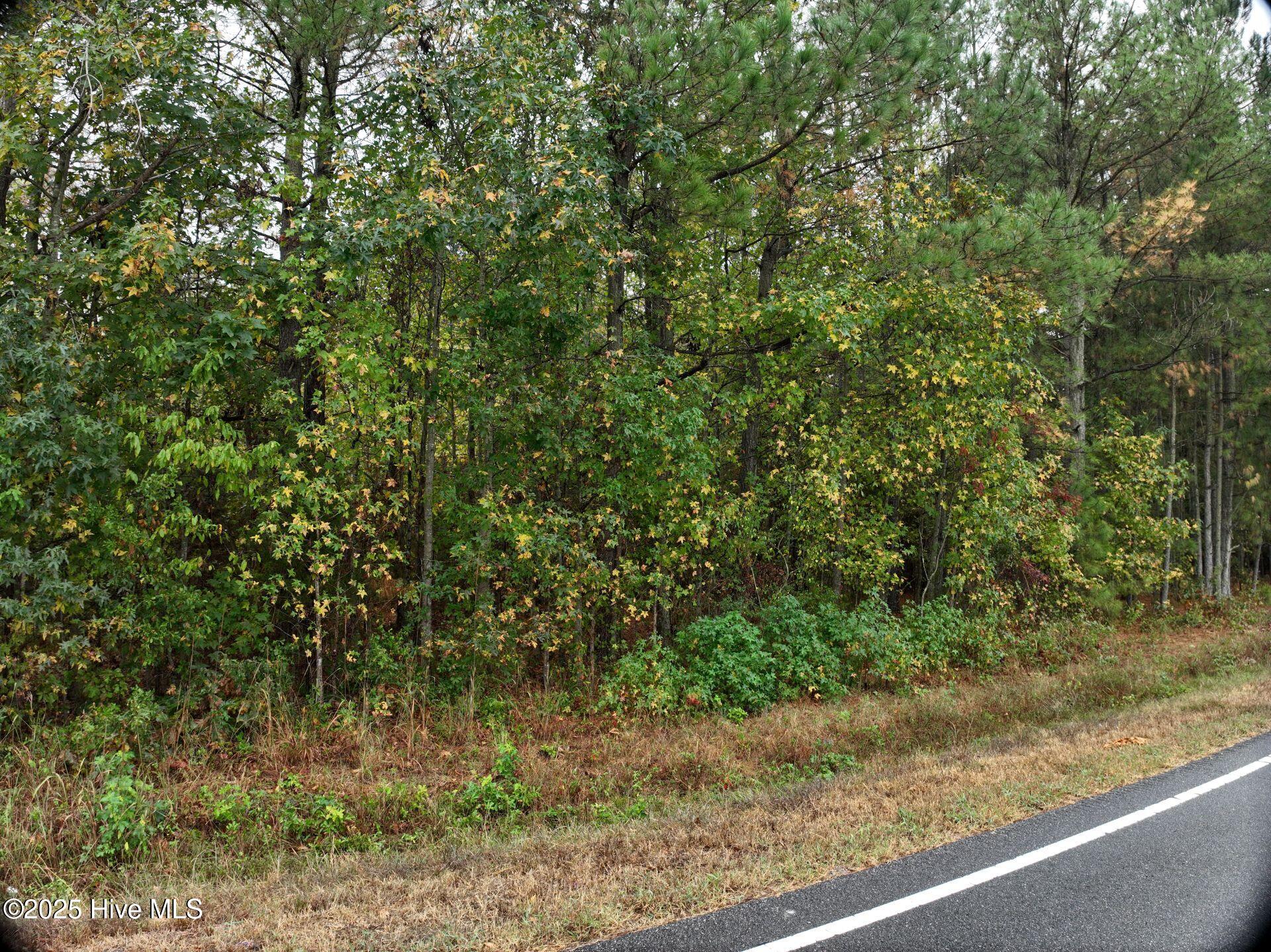0 Red Oak Battleboro Road Battleboro, NC 27809 - Photo 6 of 47 6_photo--red-oak-battleboro-road