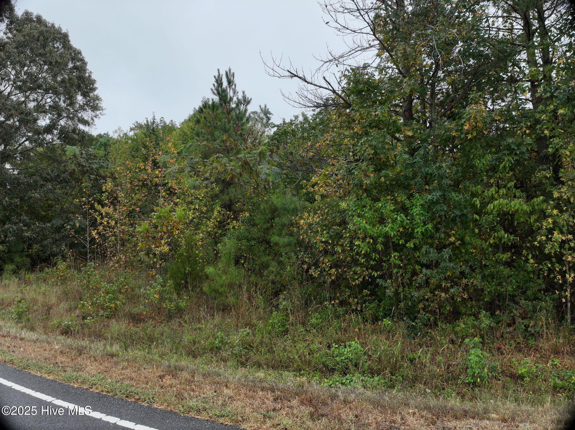 0 Red Oak Battleboro Road Battleboro, NC 27809 - Photo 7 of 47 7_photo--red-oak-battleboro-road