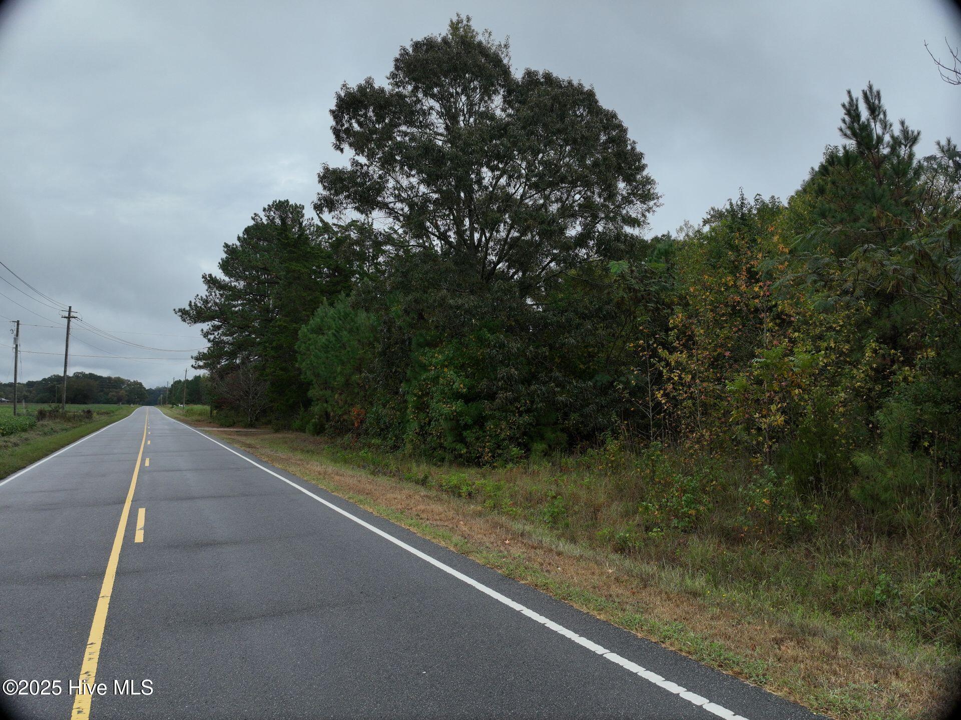 0 Red Oak Battleboro Road Battleboro, NC 27809 - Photo 9 of 47 9_photo--red-oak-battleboro-road