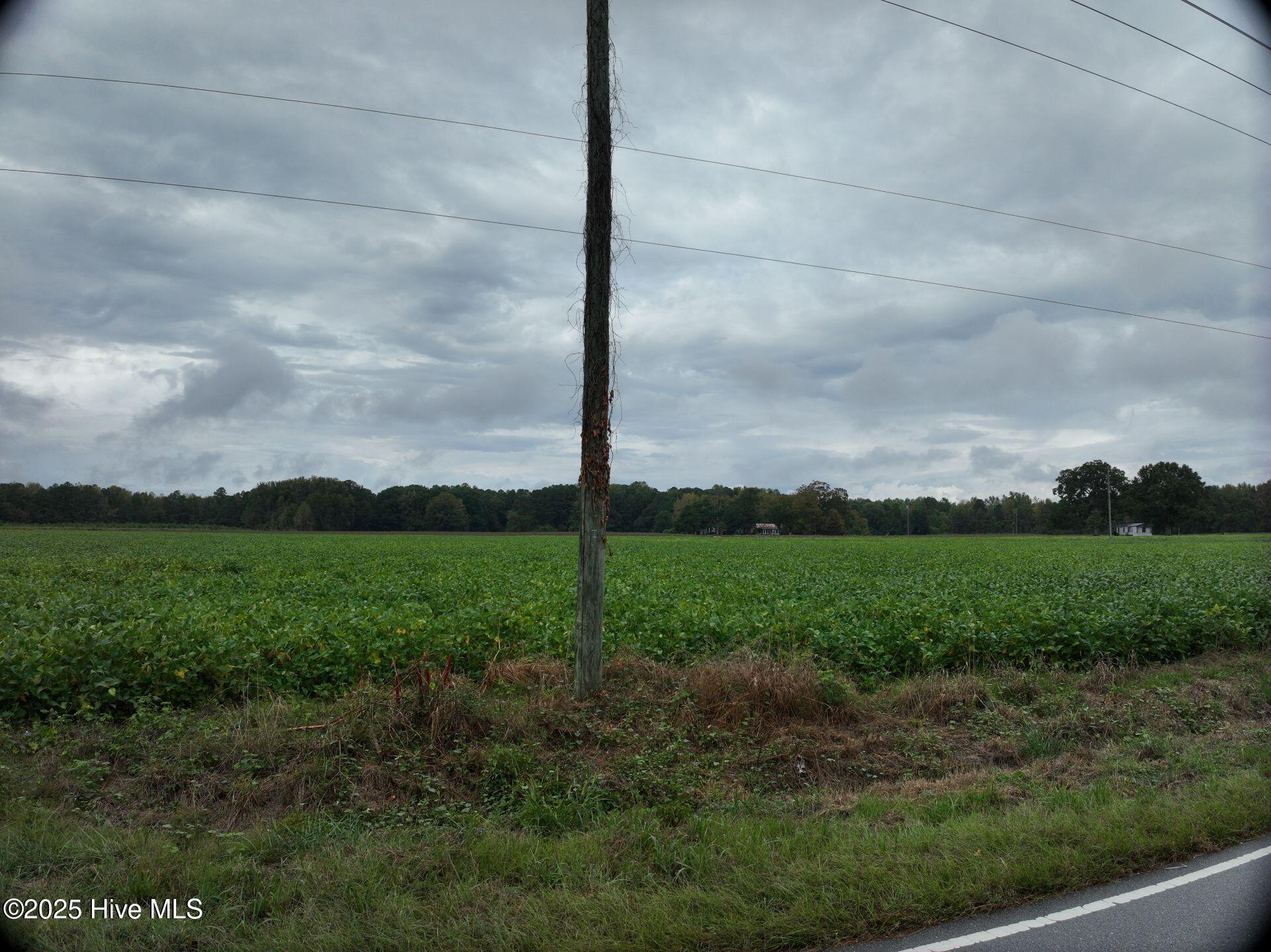 0 Red Oak Battleboro Road Battleboro, NC 27809 - Photo 10 of 47 10_photo--red-oak-battleboro-road