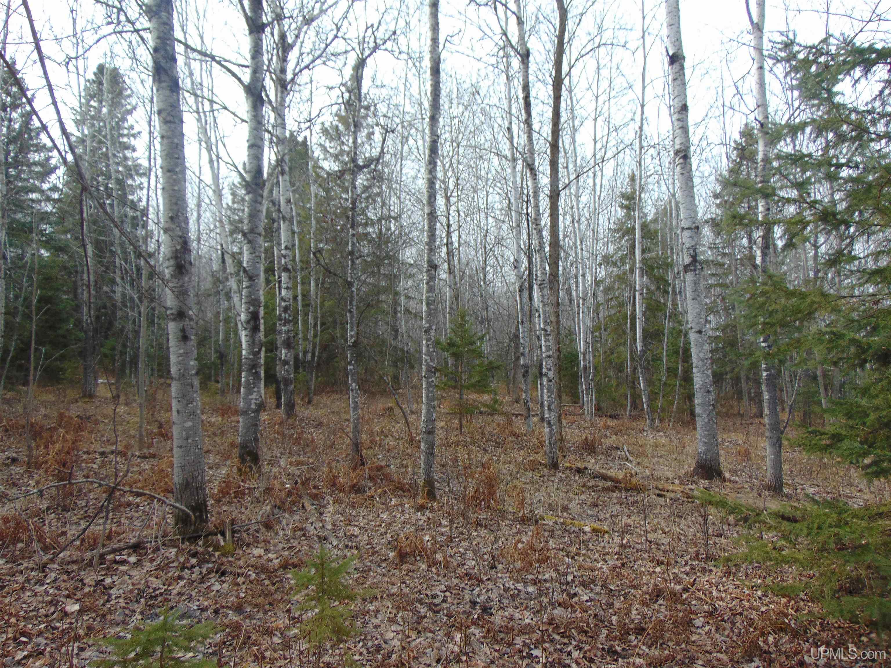 20 Grenlund Road Bruce Crossing, MI 49912 - Photo 14 of 18