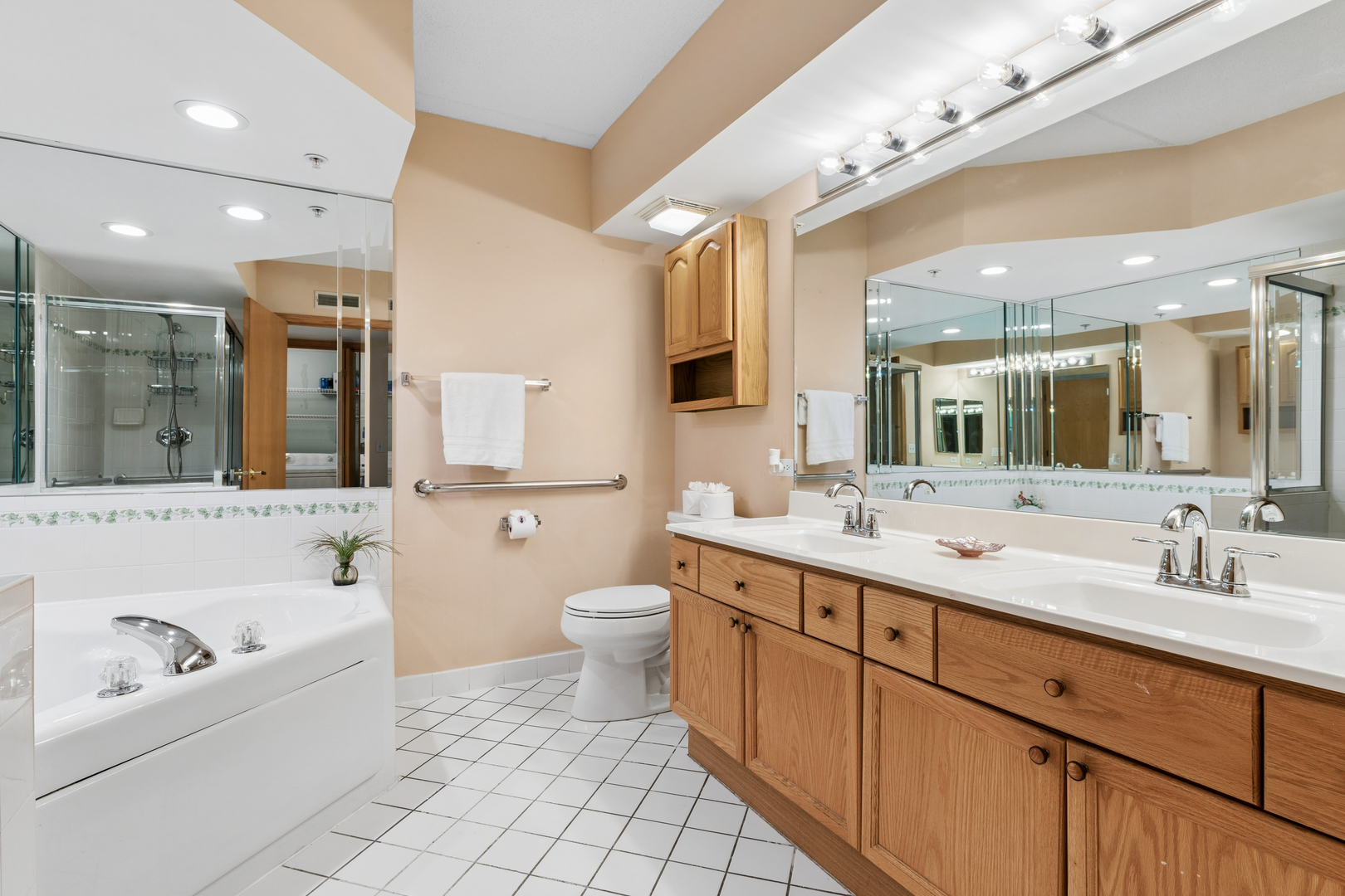 650 South River Road, Unit 301 Des Plaines, IL 60016 - Photo 12 of 21