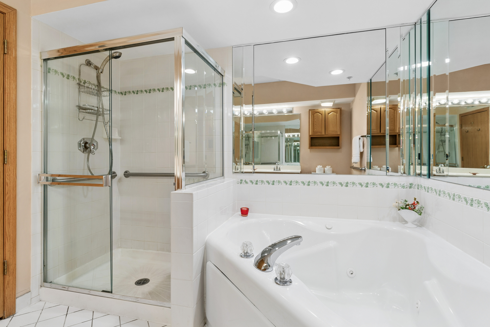 650 South River Road, Unit 301 Des Plaines, IL 60016 - Photo 13 of 21