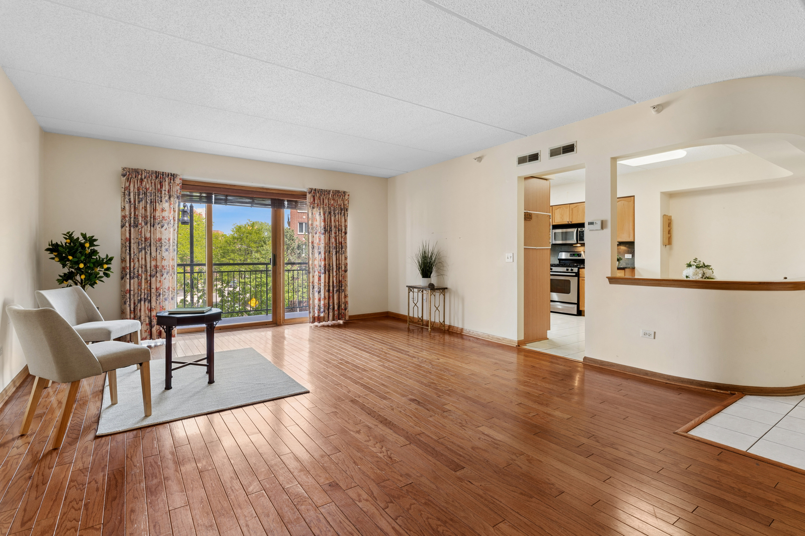 650 South River Road, Unit 301 Des Plaines, IL 60016 - Photo 5 of 21