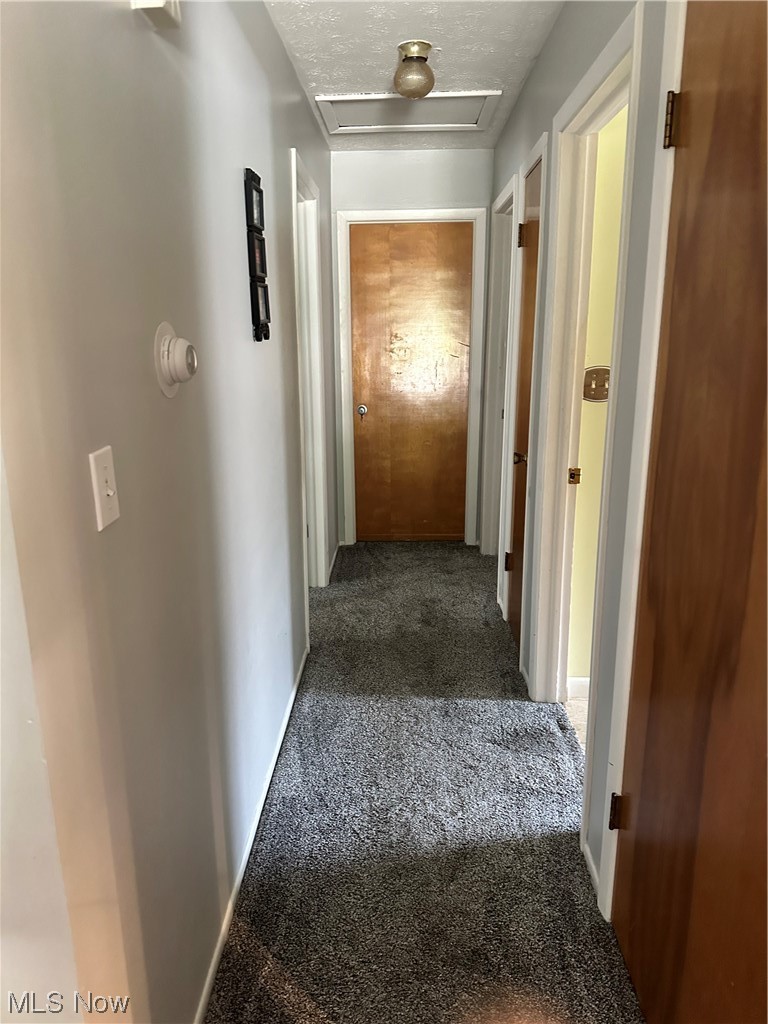 407 Massillon Road Akron, OH 44306 - Photo 8 of 21 Gallery Image 8