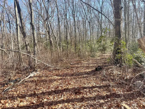 a view of backyard with green space