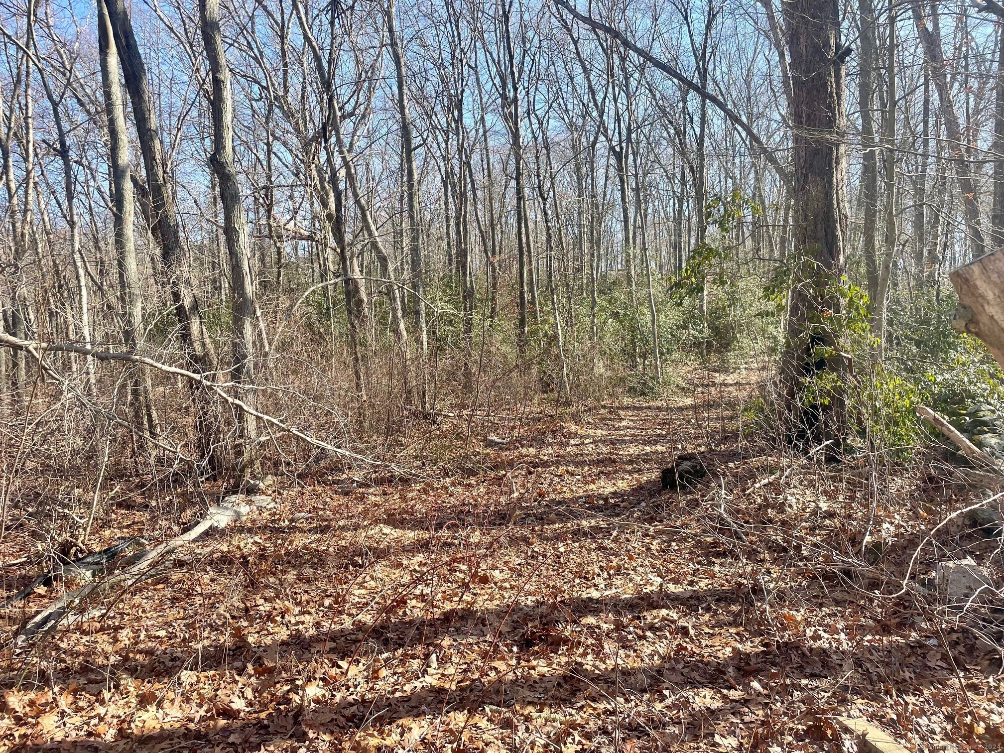 Fairy Dell Road Clinton, CT 06413 - Photo 3 of 4 a view of backyard with green space