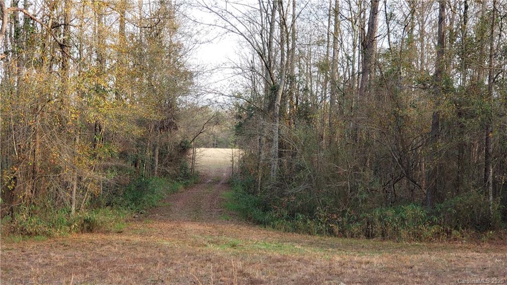 0 Payne Road Kershaw, SC 29067 - Photo 19 of 43 Gallery Image 19