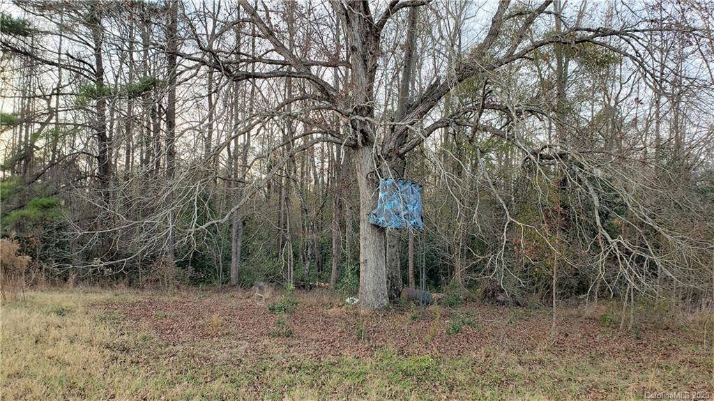 0 Payne Road Kershaw, SC 29067 - Photo 20 of 43 Gallery Image 20