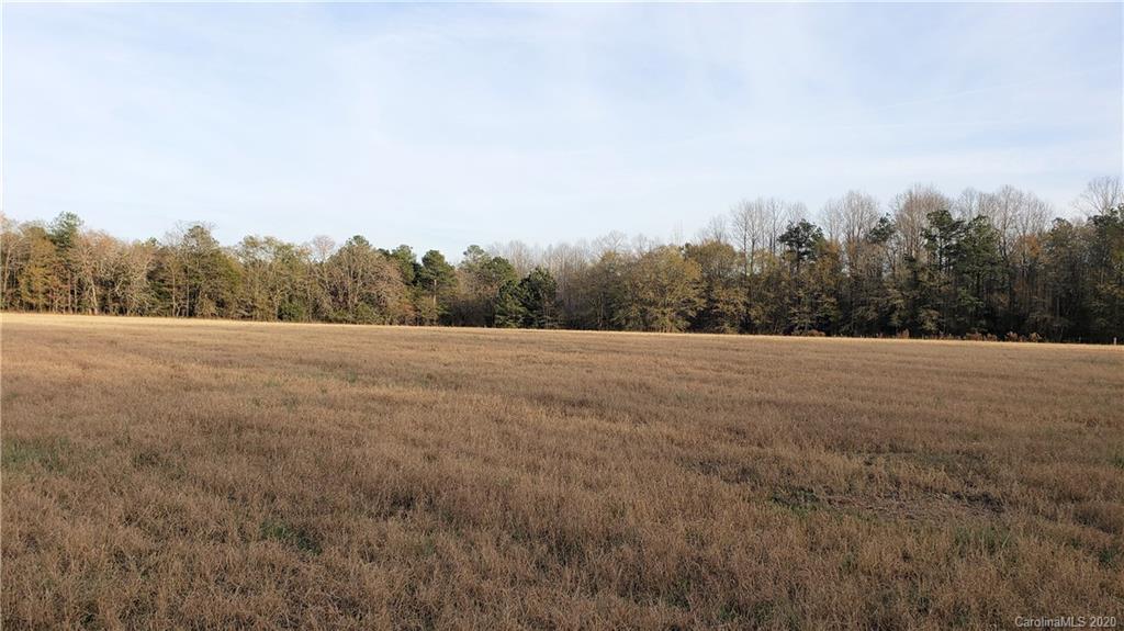 0 Payne Road Kershaw, SC 29067 - Photo 22 of 43 Gallery Image 22