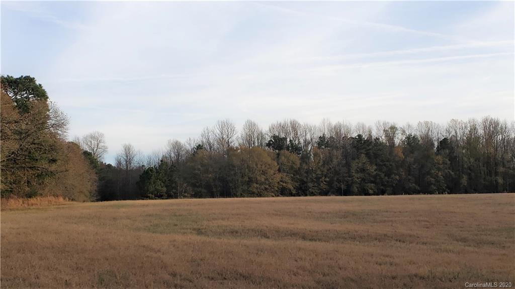 0 Payne Road Kershaw, SC 29067 - Photo 25 of 43 Gallery Image 25