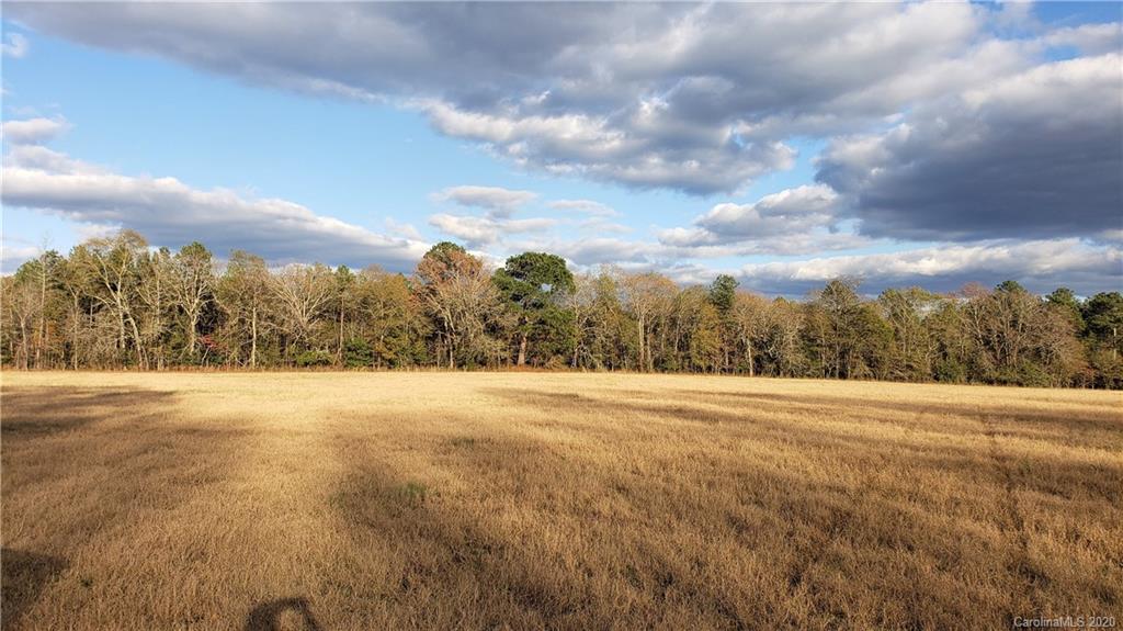 0 Payne Road Kershaw, SC 29067 - Photo 28 of 43 Gallery Image 28