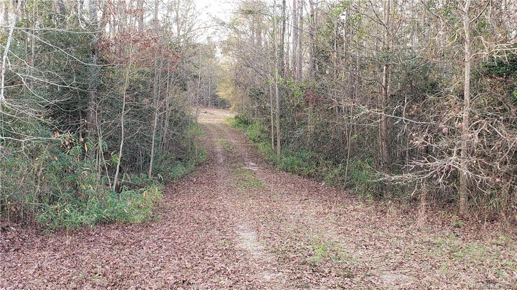 0 Payne Road Kershaw, SC 29067 - Photo 29 of 43 Gallery Image 29