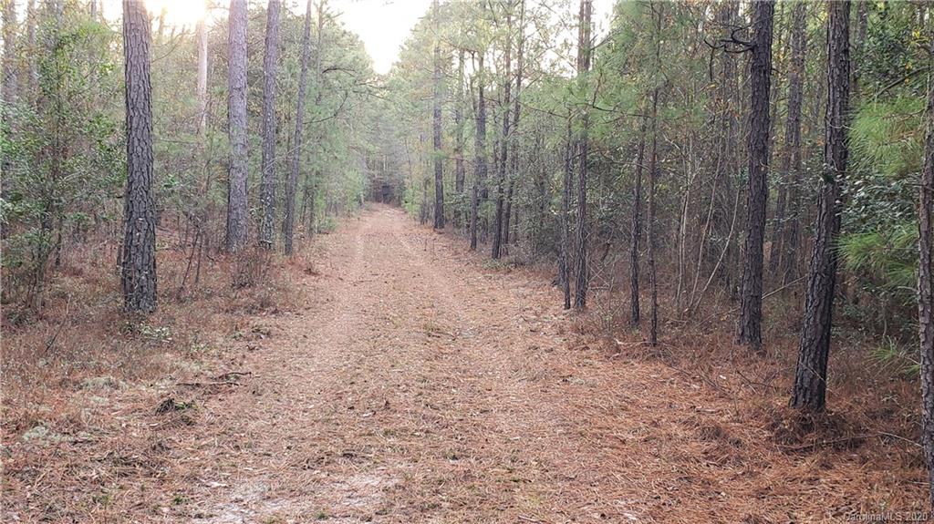 0 Payne Road Kershaw, SC 29067 - Photo 31 of 43 Gallery Image 31