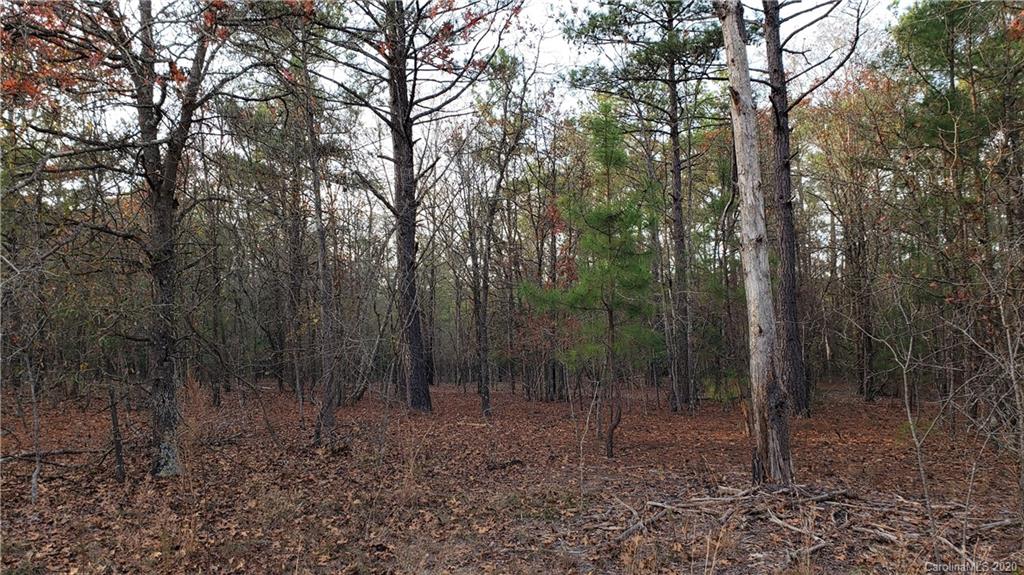 0 Payne Road Kershaw, SC 29067 - Photo 35 of 43 Gallery Image 35