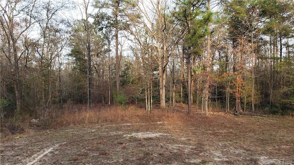 0 Payne Road Kershaw, SC 29067 - Photo 36 of 43 Gallery Image 36