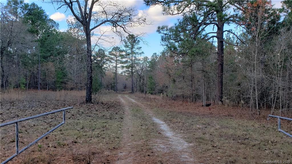 0 Payne Road Kershaw, SC 29067 - Photo 5 of 43 Gallery Image 5