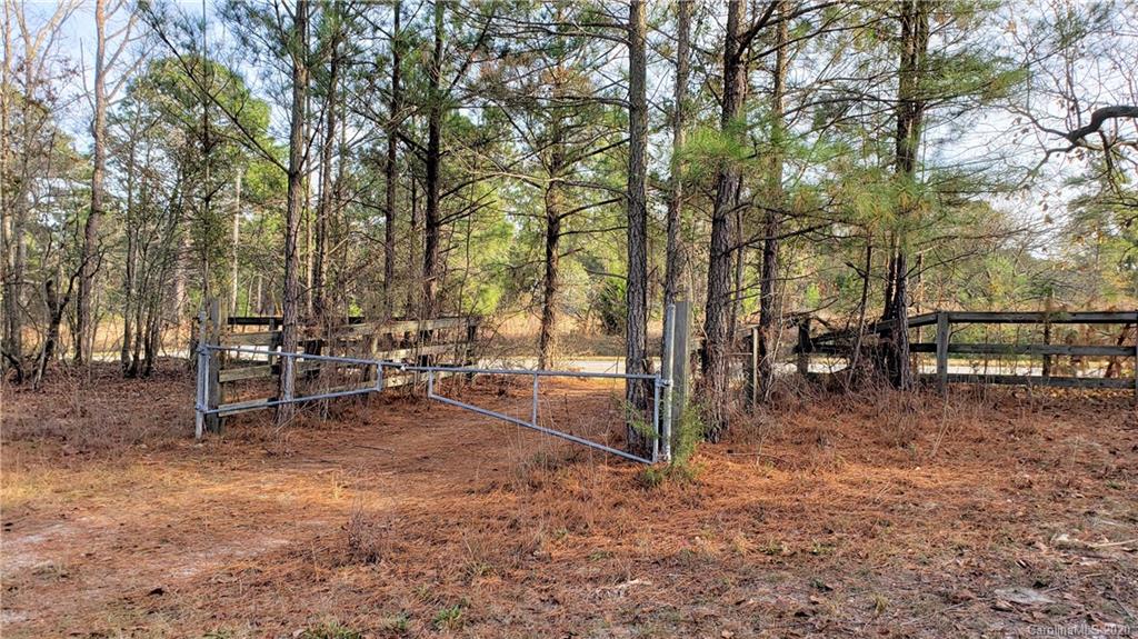 0 Payne Road Kershaw, SC 29067 - Photo 7 of 43 Gallery Image 7