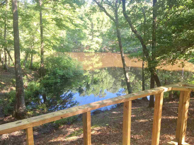 100 Carrie Road Roxie, MS 39661 - Photo 1 of 1 Main View