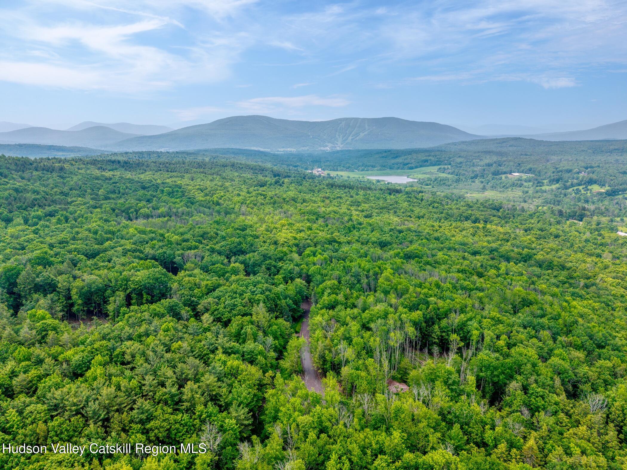 Tbd Boulder Brook Road Windham, NY 12496 - Photo 35 of 57 Image-38