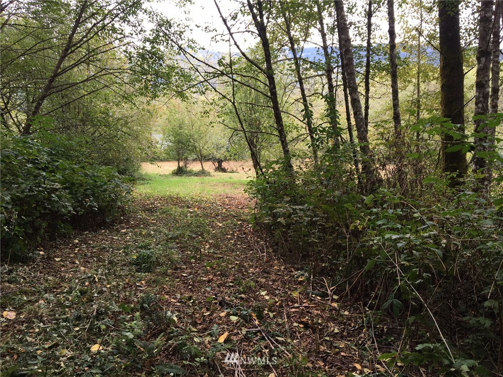 0 Old Lake Samish Road Bellingham, WA 98229 - Photo 2 of 7 Gallery Image 2