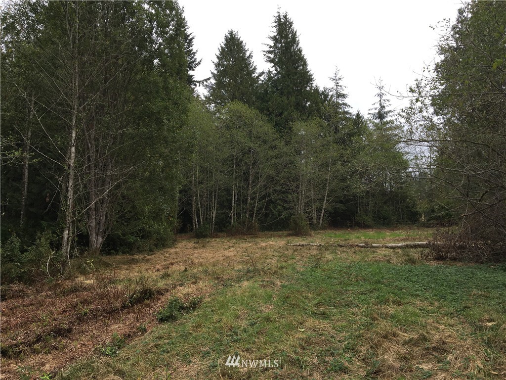 0 Old Lake Samish Road Bellingham, WA 98229 - Photo 3 of 7 Gallery Image 3