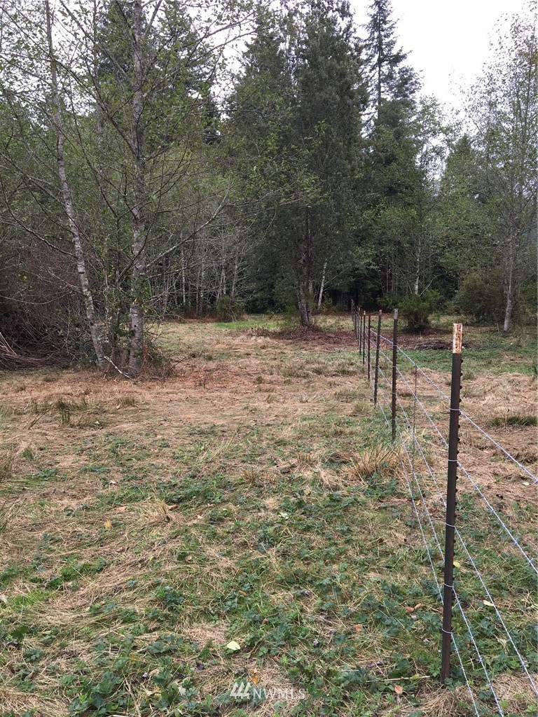 0 Old Lake Samish Road Bellingham, WA 98229 - Photo 5 of 7 Gallery Image 5