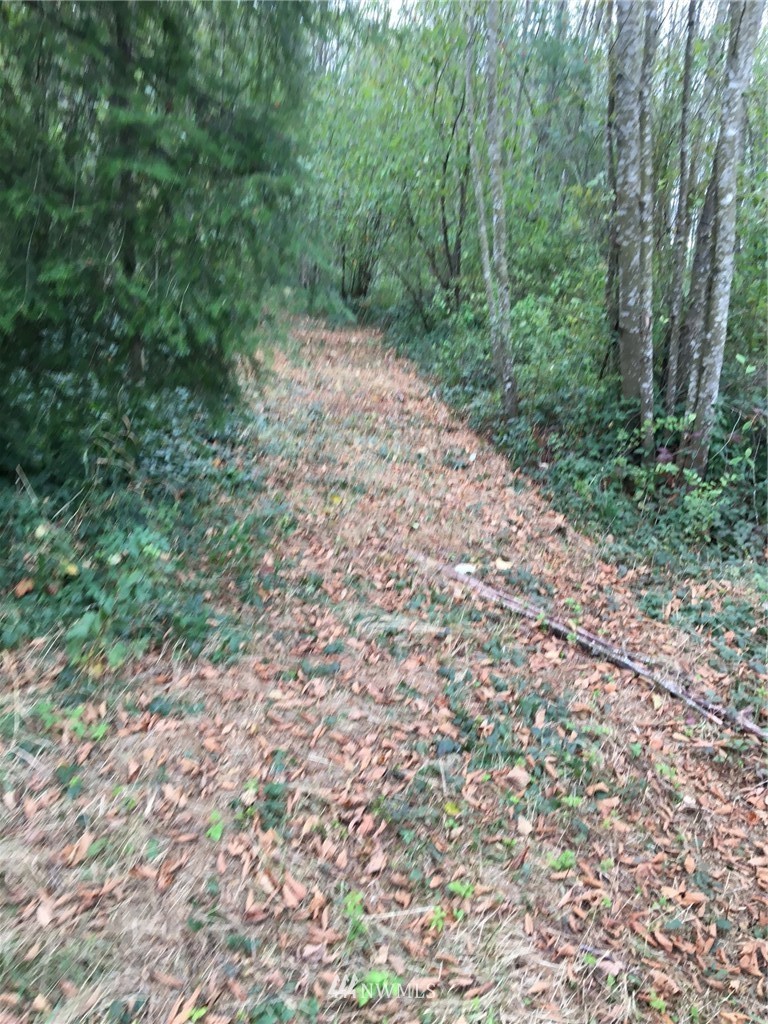 0 Old Lake Samish Road Bellingham, WA 98229 - Photo 6 of 7 Gallery Image 6