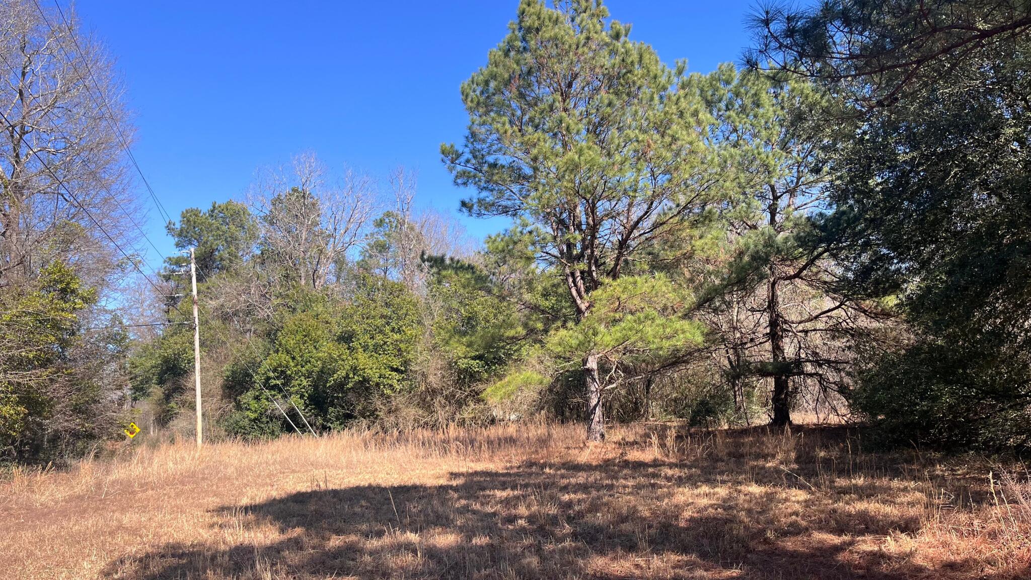 0 Veterans Road Salley, SC 29137 - Photo 17 of 23