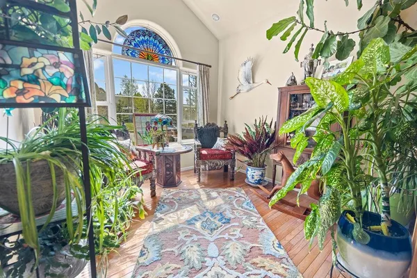 a potted plant sitting in front of a building