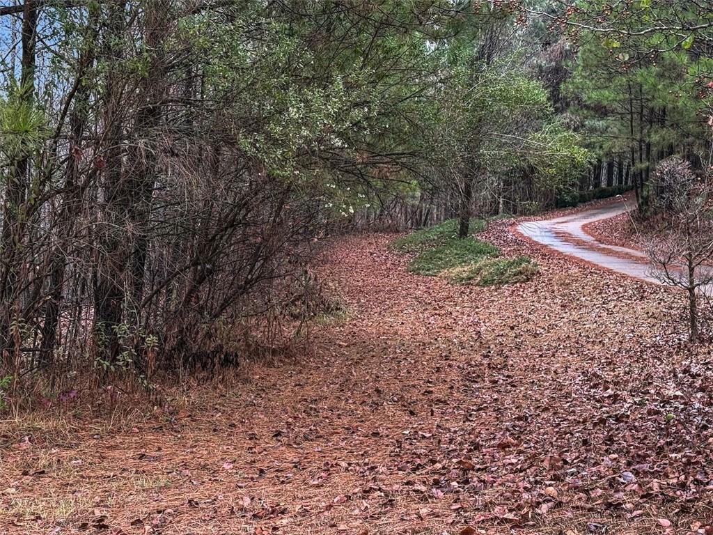 77 Observation Way Dallas, GA 30132 - Photo 4 of 11 a view of a yard with plants and trees
