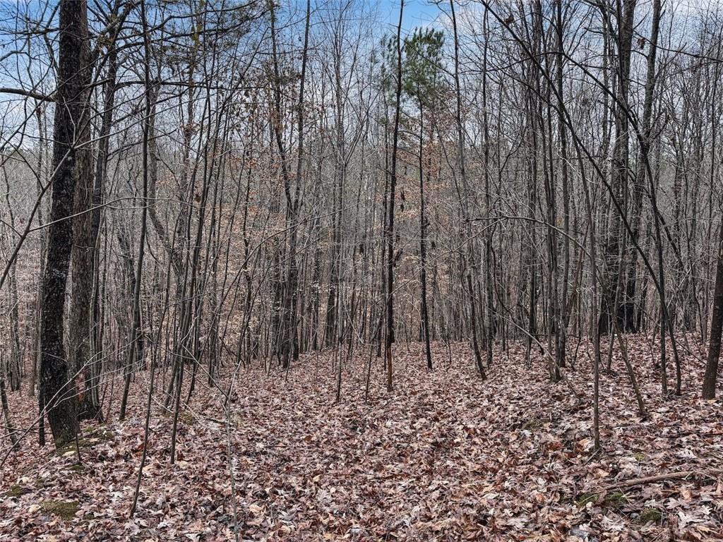 77 Observation Way Dallas, GA 30132 - Photo 9 of 11 a view of wooden fence