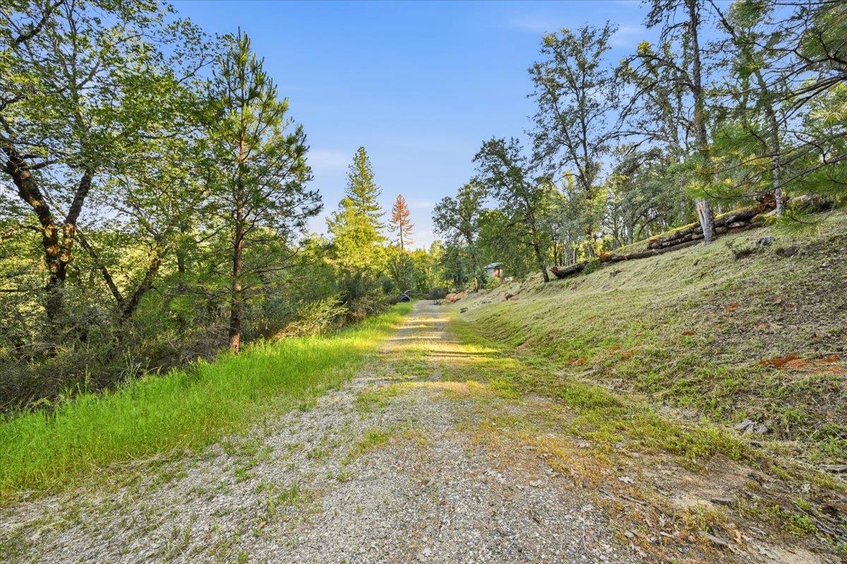 16095 Auburn Road Grass Valley, CA 95949 - Photo 2 of 20