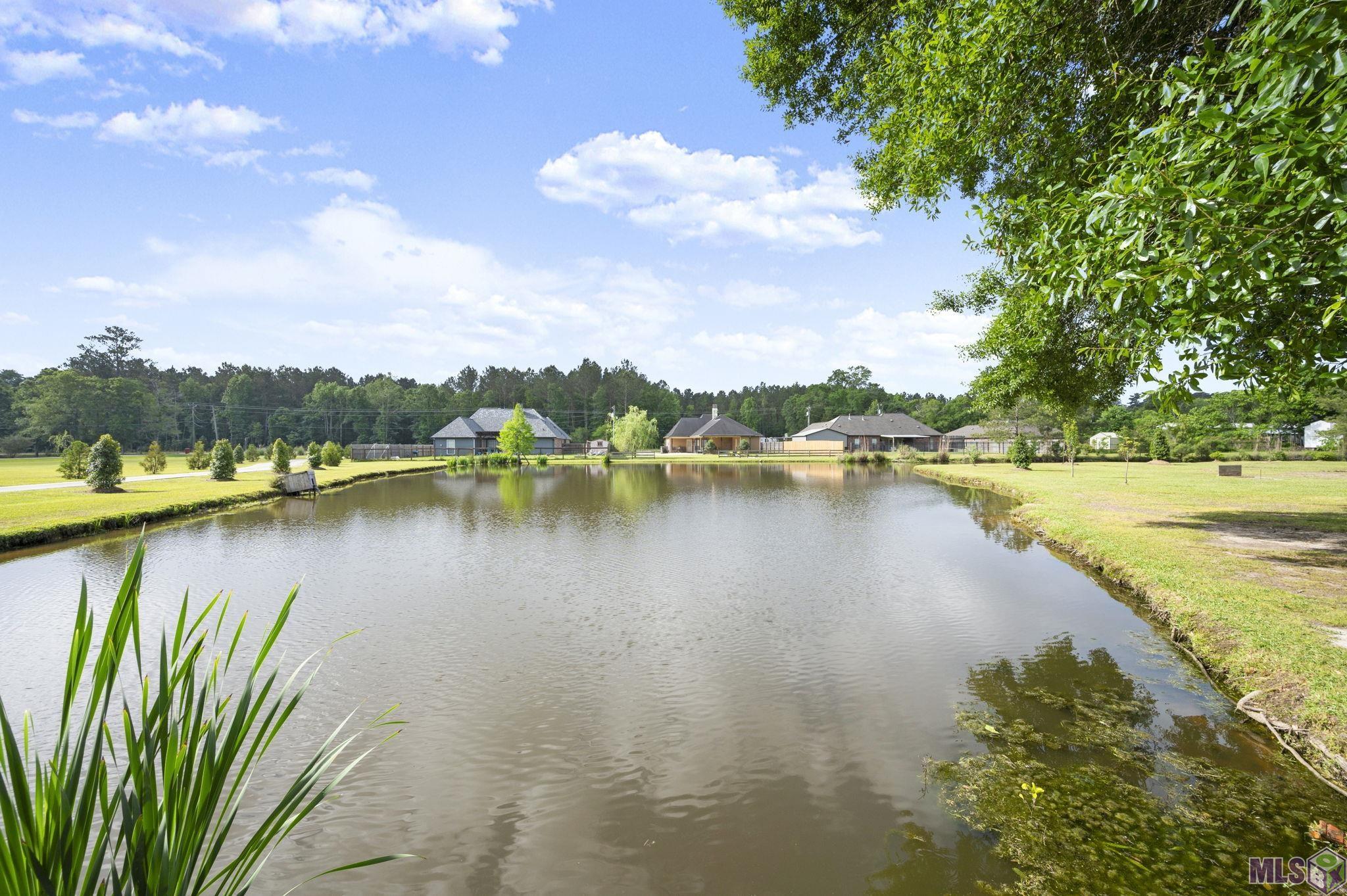 33798 Cane Market Road Walker, LA 70785 - Photo 34 of 39