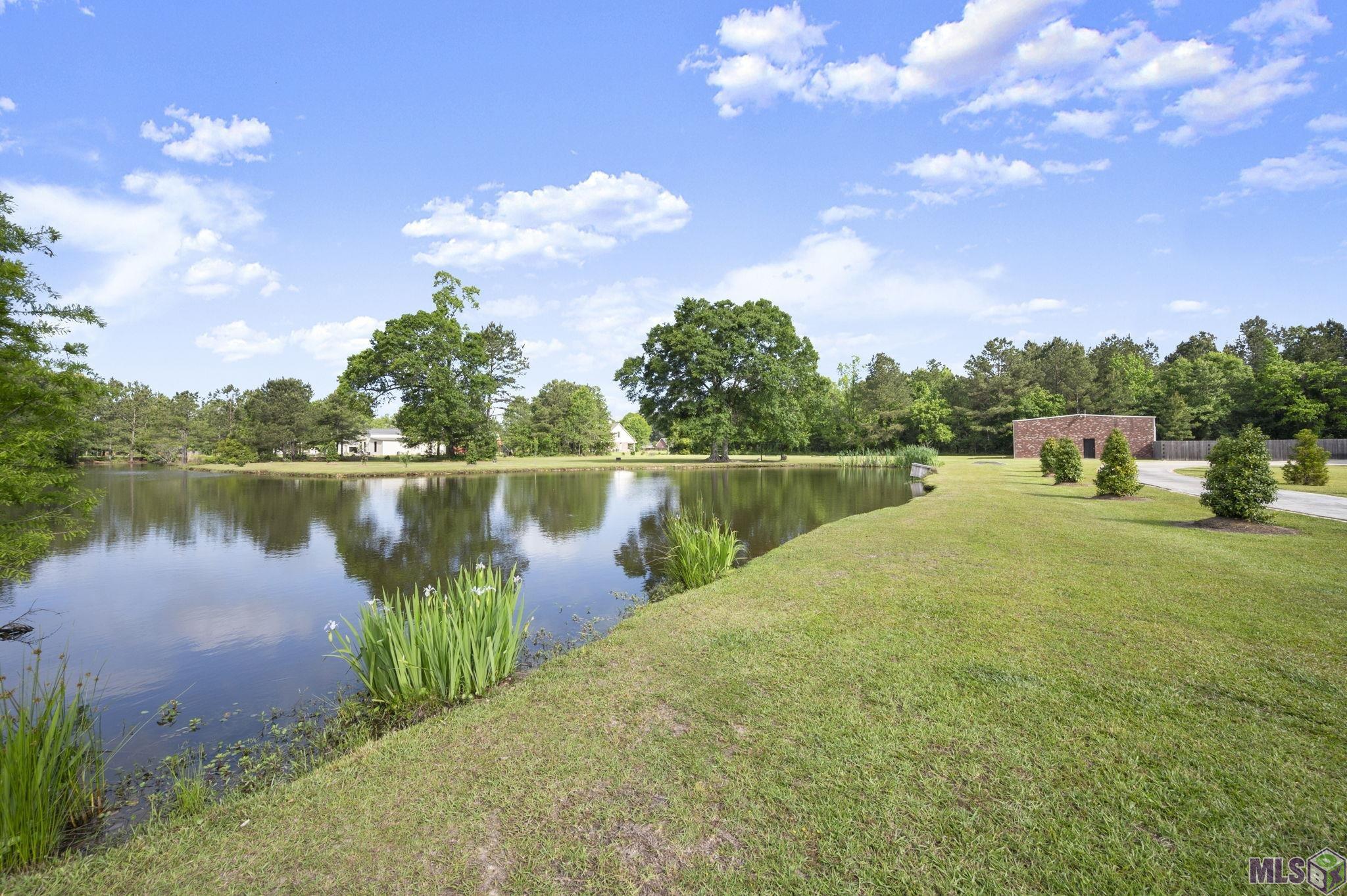 33798 Cane Market Road Walker, LA 70785 - Photo 36 of 39