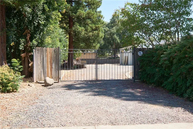 a view of a backyard with large trees and wooden fence