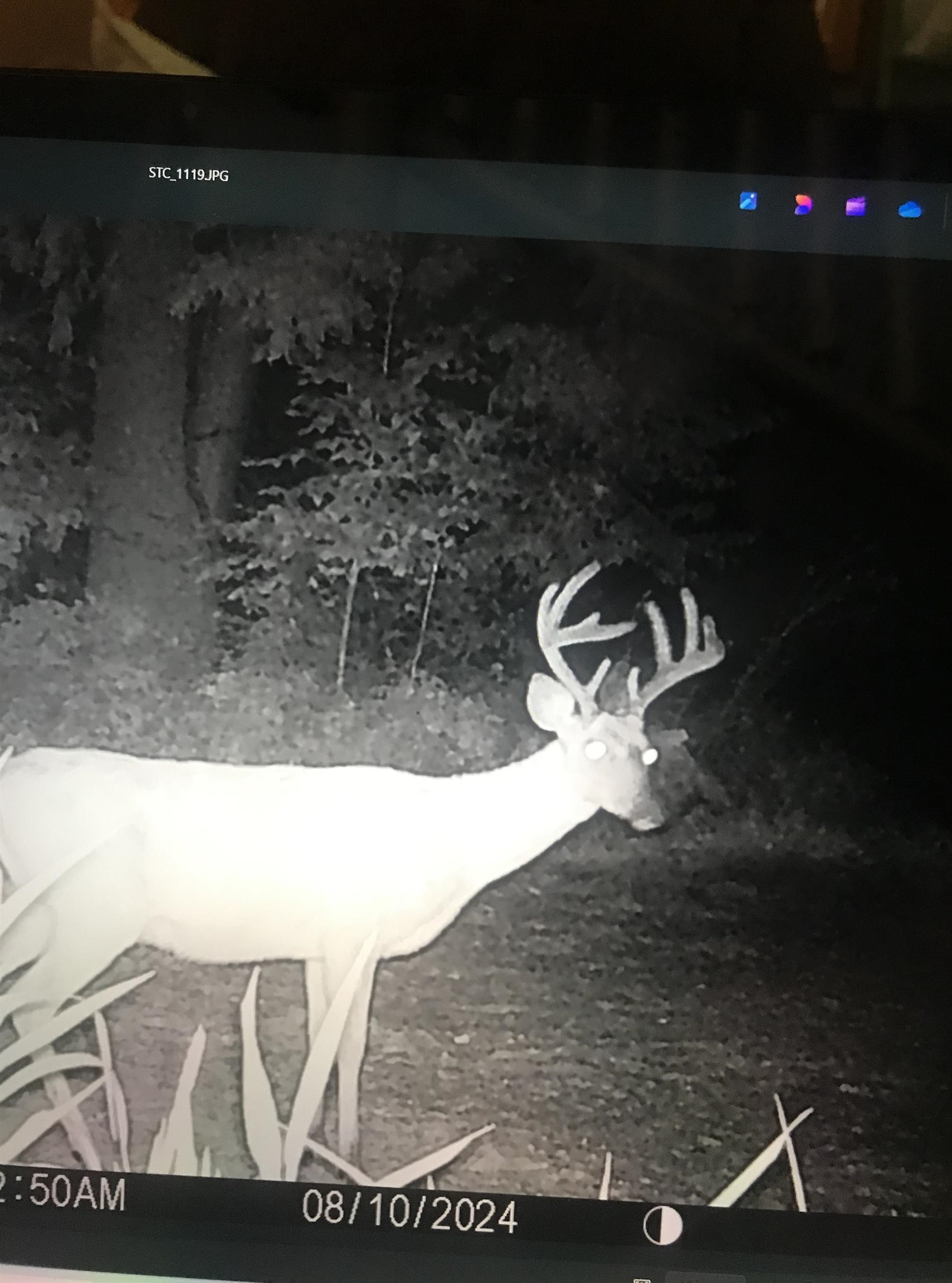 0 Henschell Road Fife Lake, MI 49633 - Photo 17 of 35 Gallery Image 17