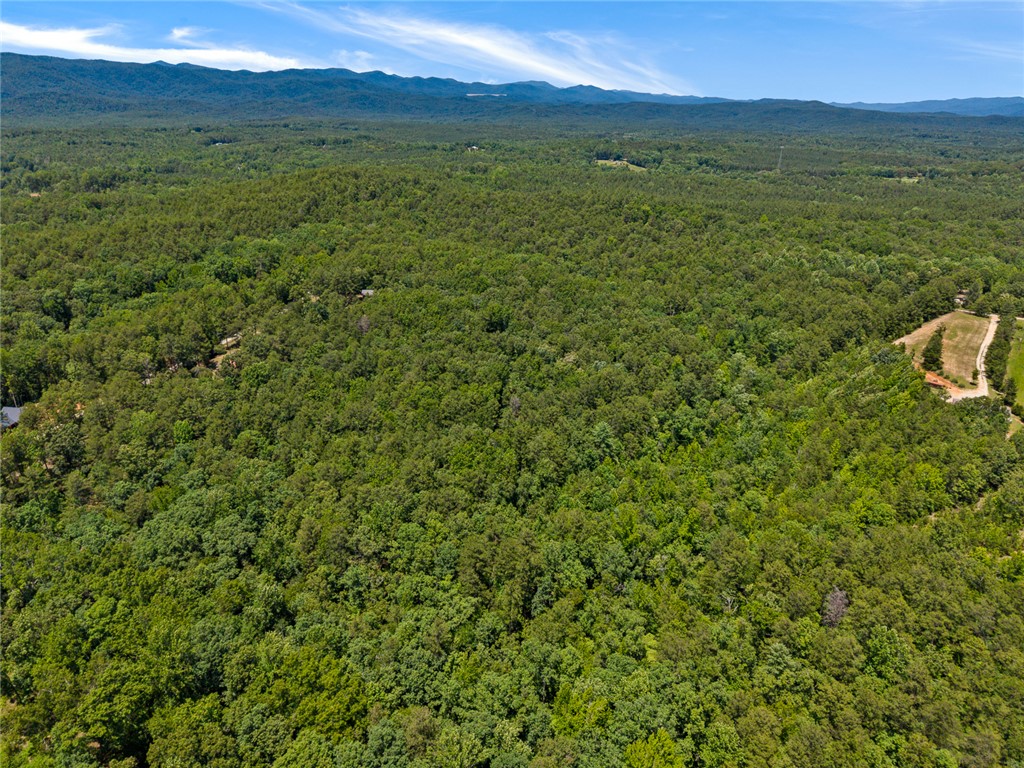 0 Pine Mountain Road Tamassee, SC 29686 - Photo 13 of 15