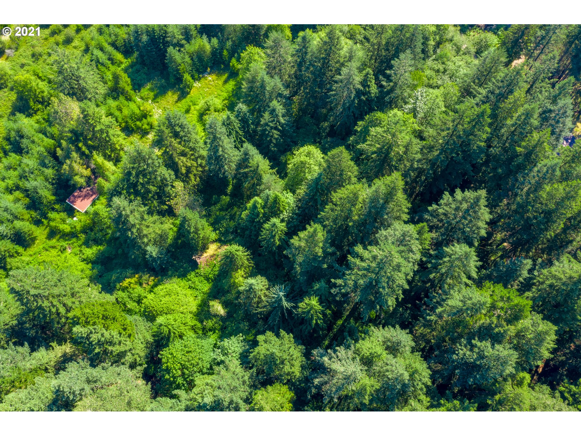 28041 South Brief Road Estacada, OR 97023 - Photo 23 of 23 a view of a garden