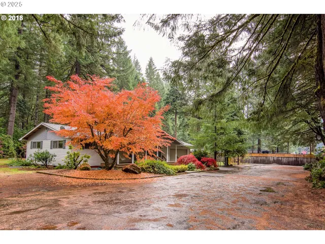 a view of road with large trees